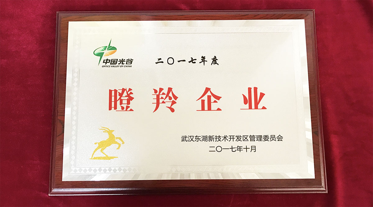 祝賀武漢邁信電氣技術有限公司榮獲中國光谷2017年度“瞪羚企業”!